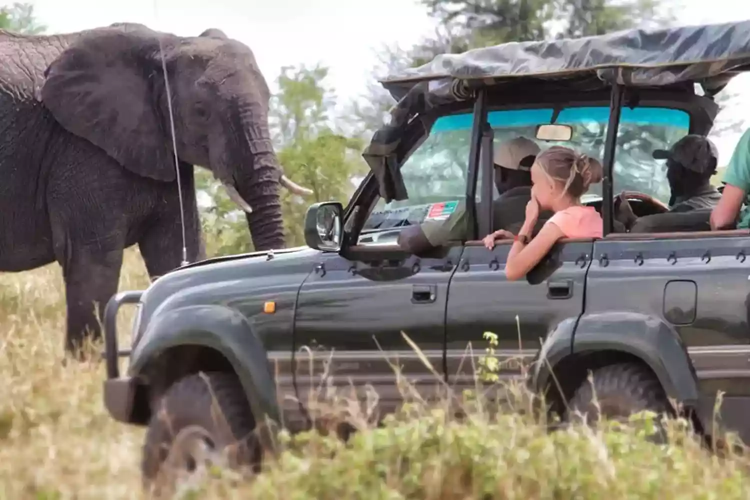 El millor safari de 4 dies al Serengeti Lodge