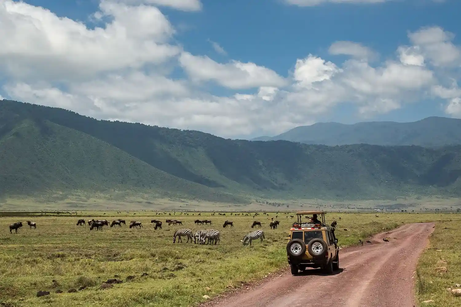 Safari de 5 dies al Serengeti Lodge: 2024 Safari al Serengeti Comfort Lodge