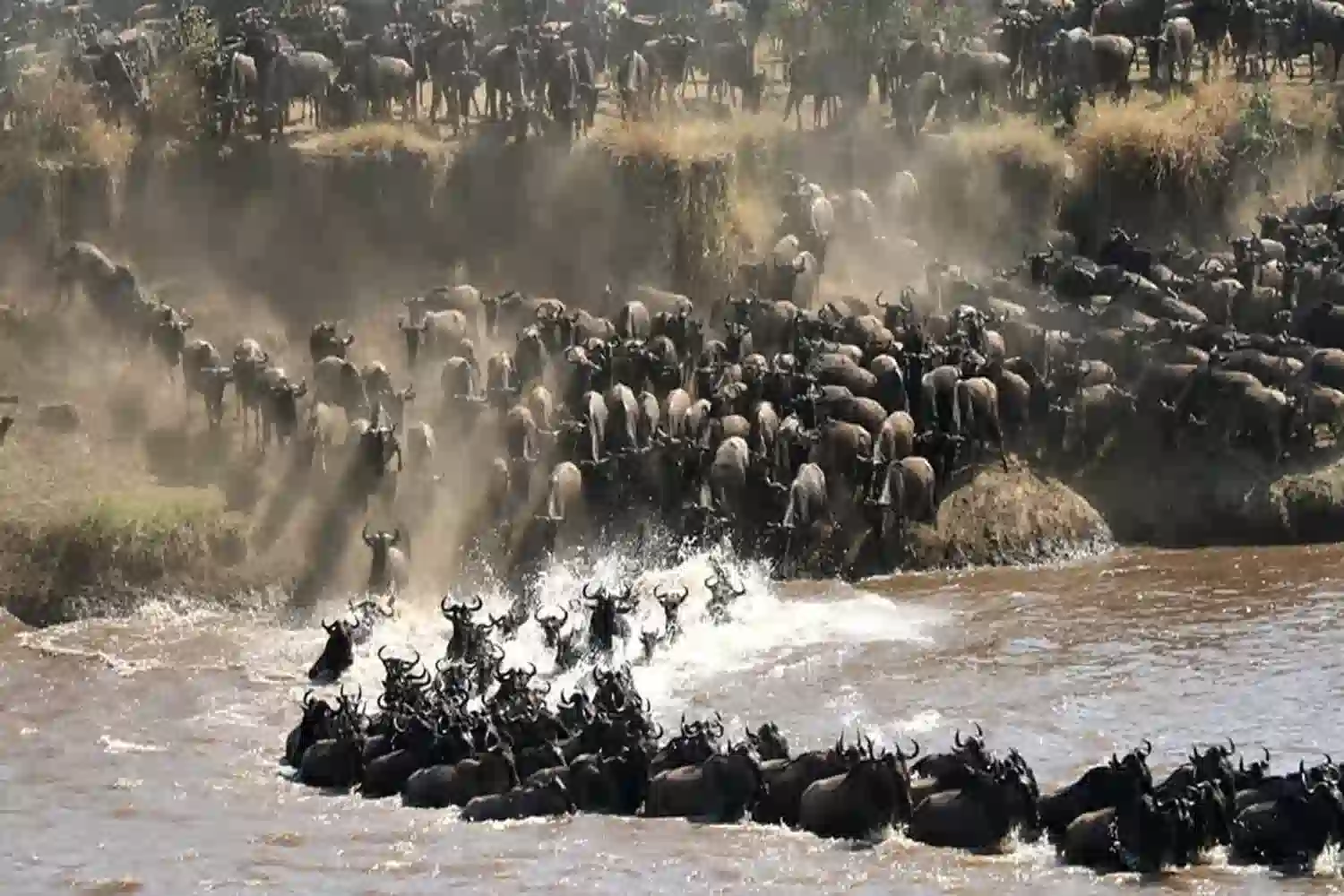 Ndutu Serengeti Migration