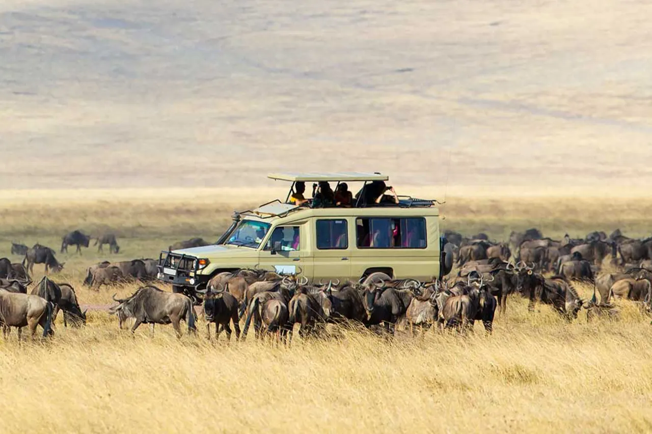 THE GREAT Serengeti MIGRATION SAFARI IN TANZANIA