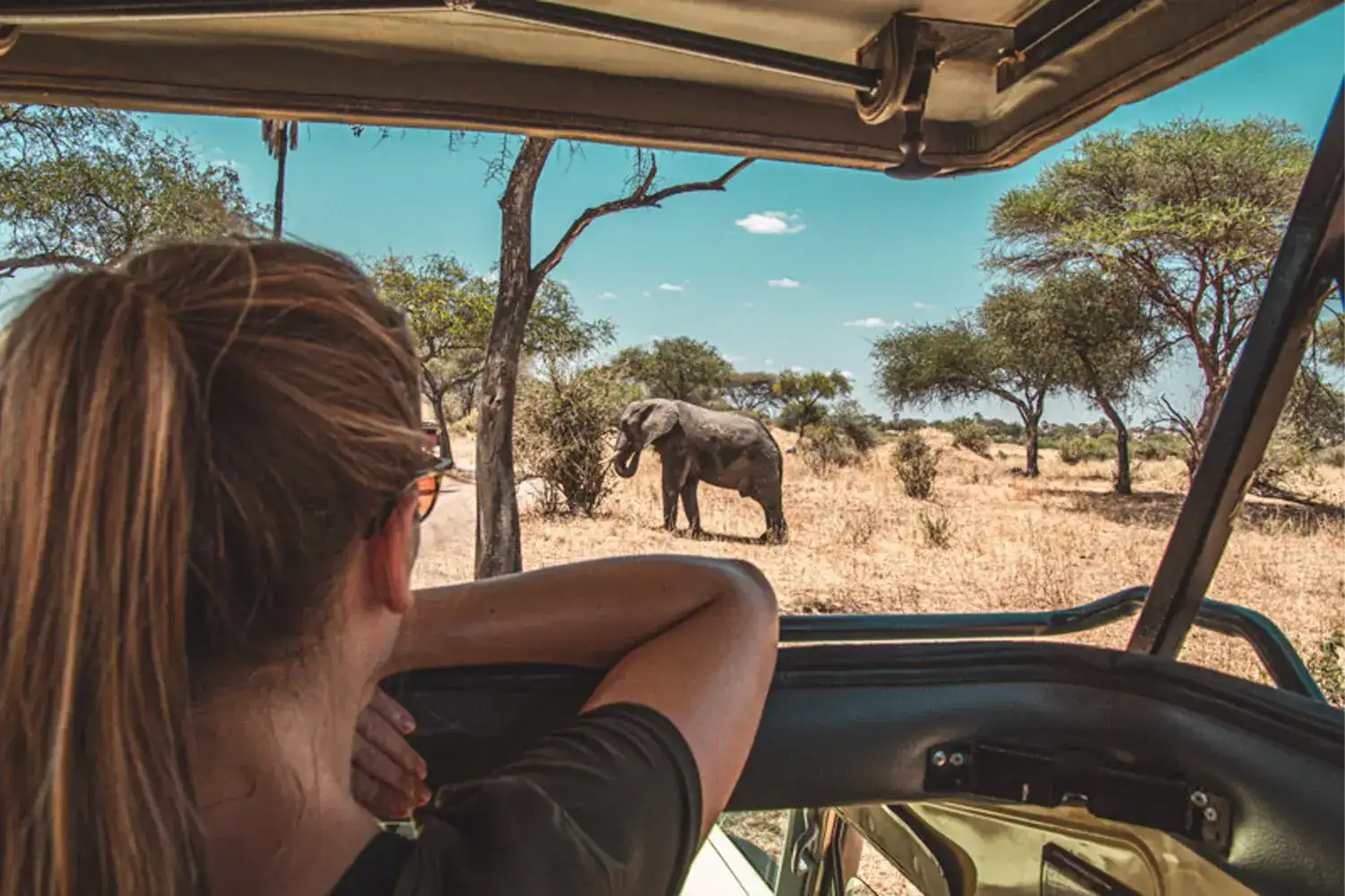 Paquet de safari privat de 2 dies al Serengeti