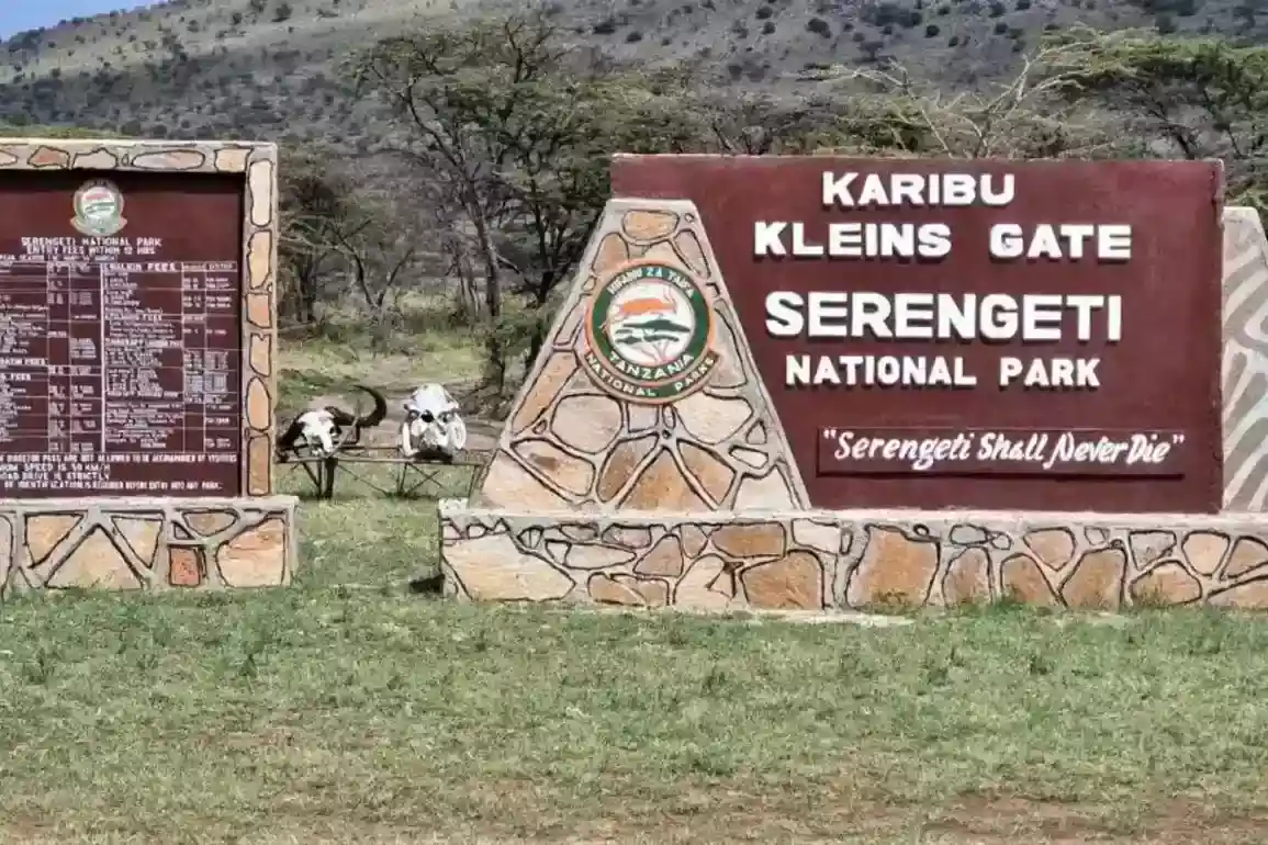 Paquet de safari privat de 4 dies al Serengeti
