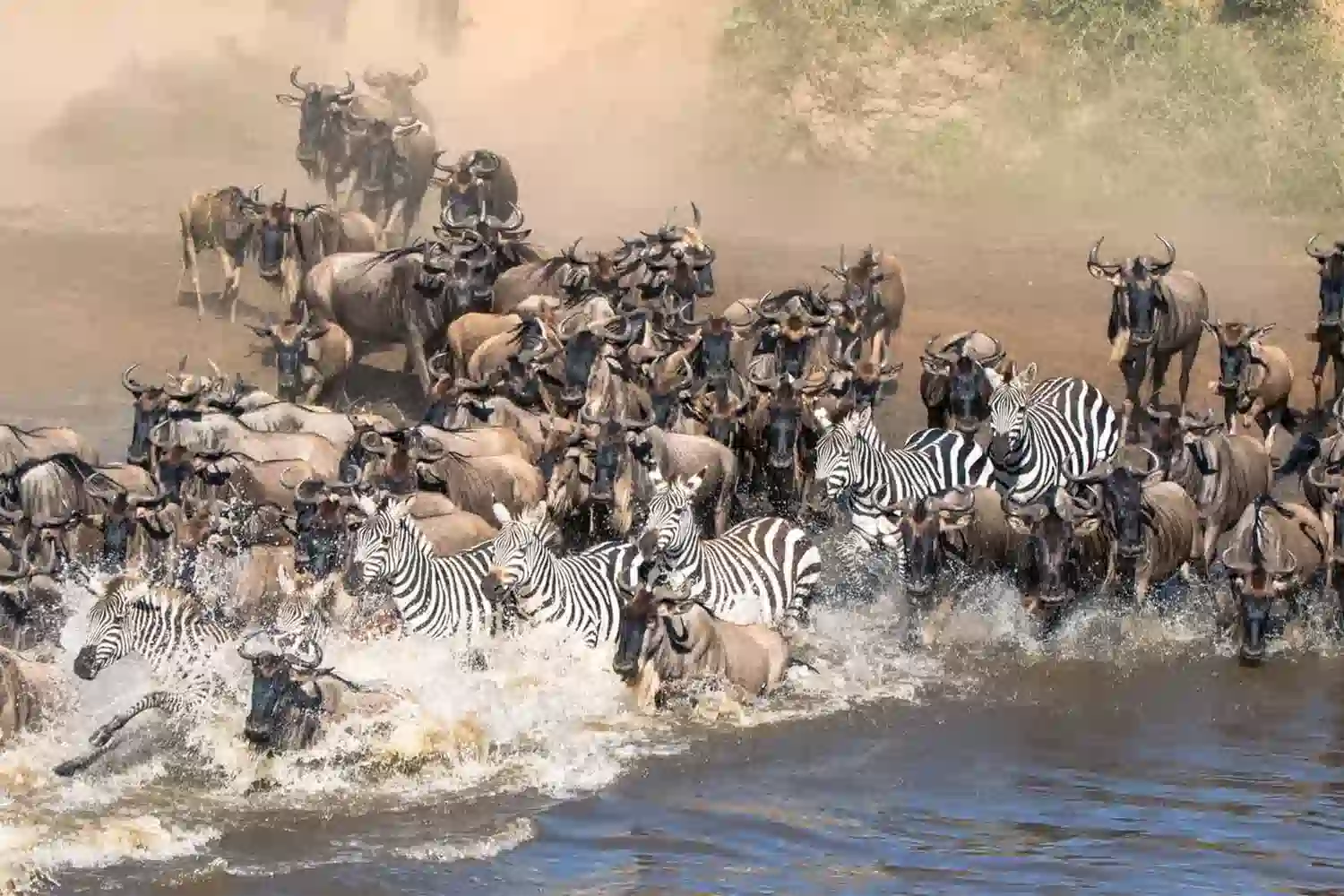 Seronera Serengeti Migration