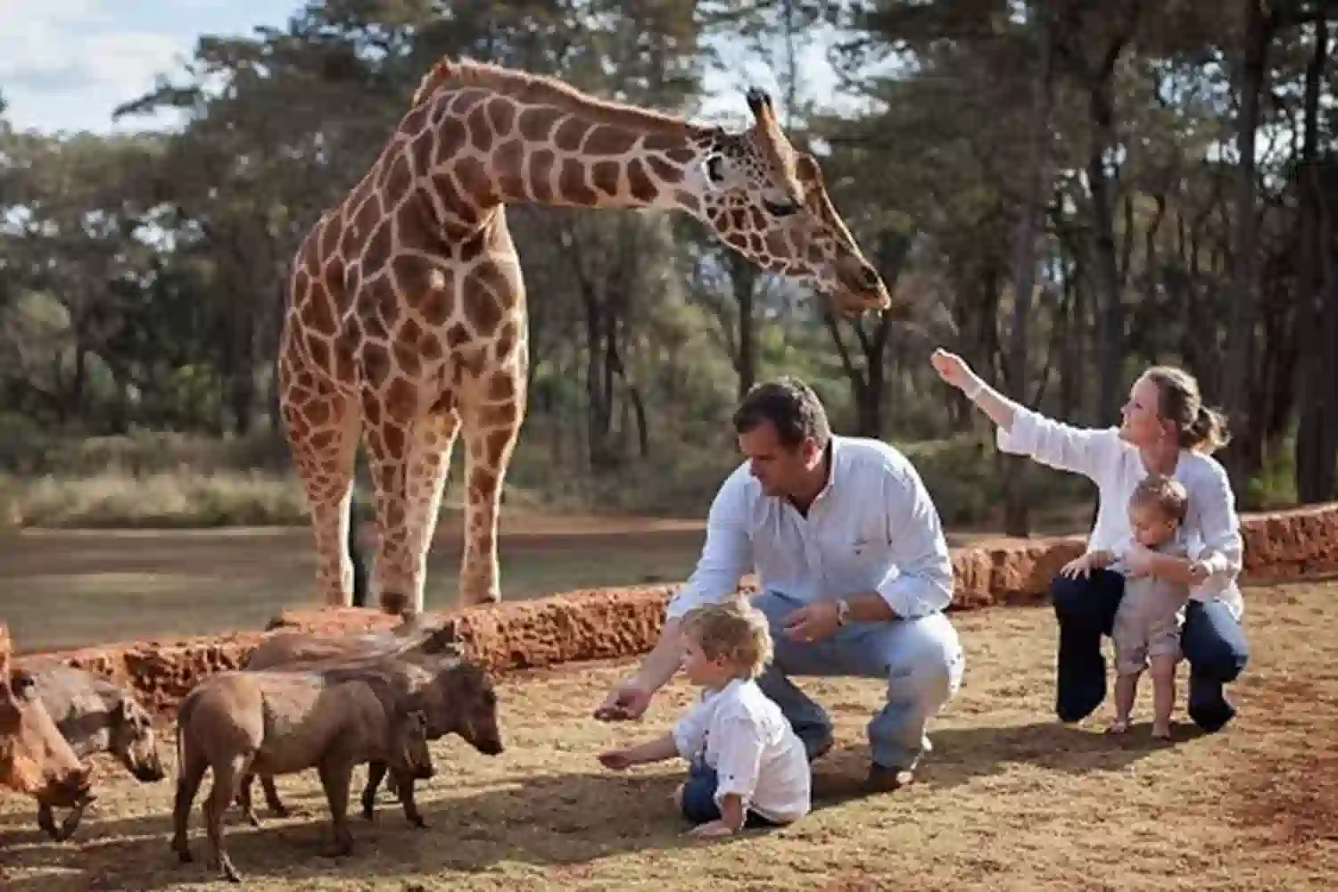 Serengeti-Zanzibar Family Combo