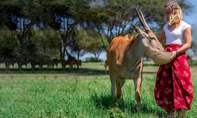 Gita di un giorno della fauna selvatica serral