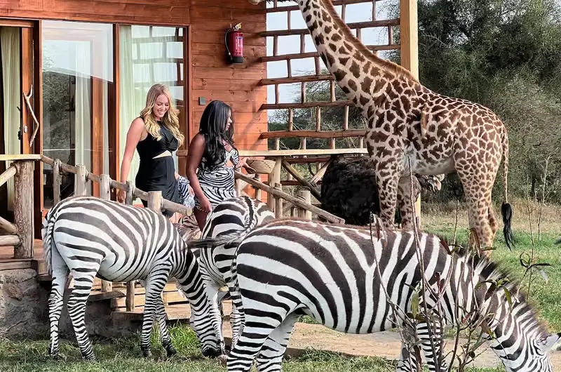 Serval Wildlife Tanzania Tour