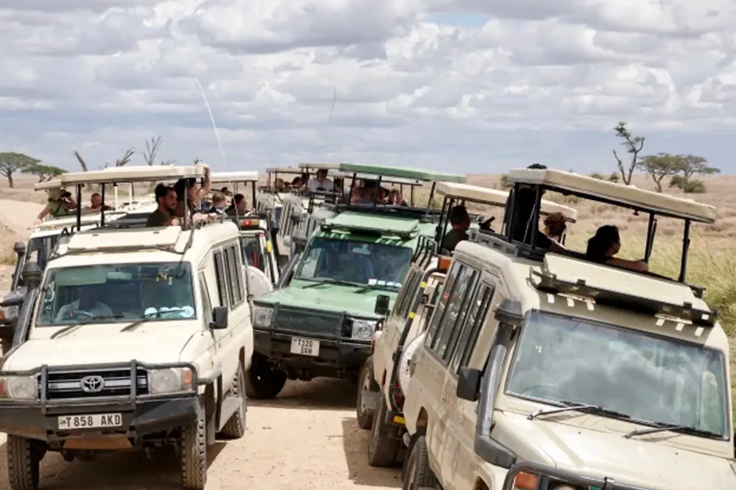 3 dies Tanzània unint-se a Safari