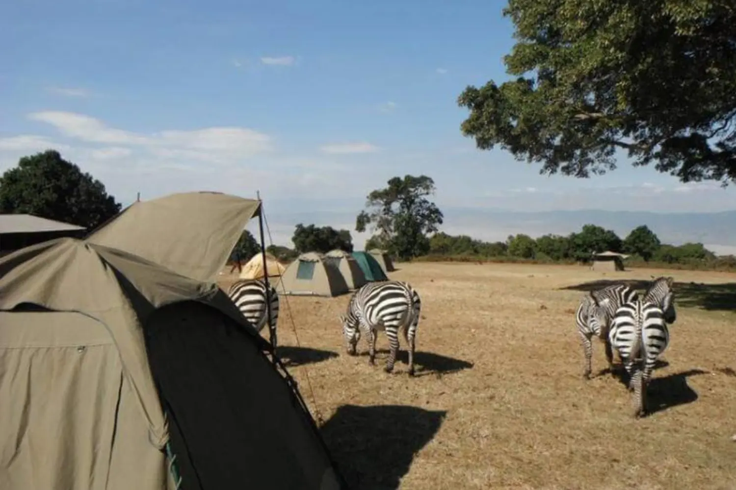 Budget Trip Tanzania 6 Days