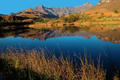 Best 2-Day Scenic Adventure at Royal natal national park