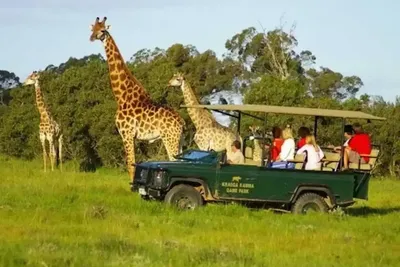 Bónusz 7 napos változatos kaland, kultúra és vadvilág