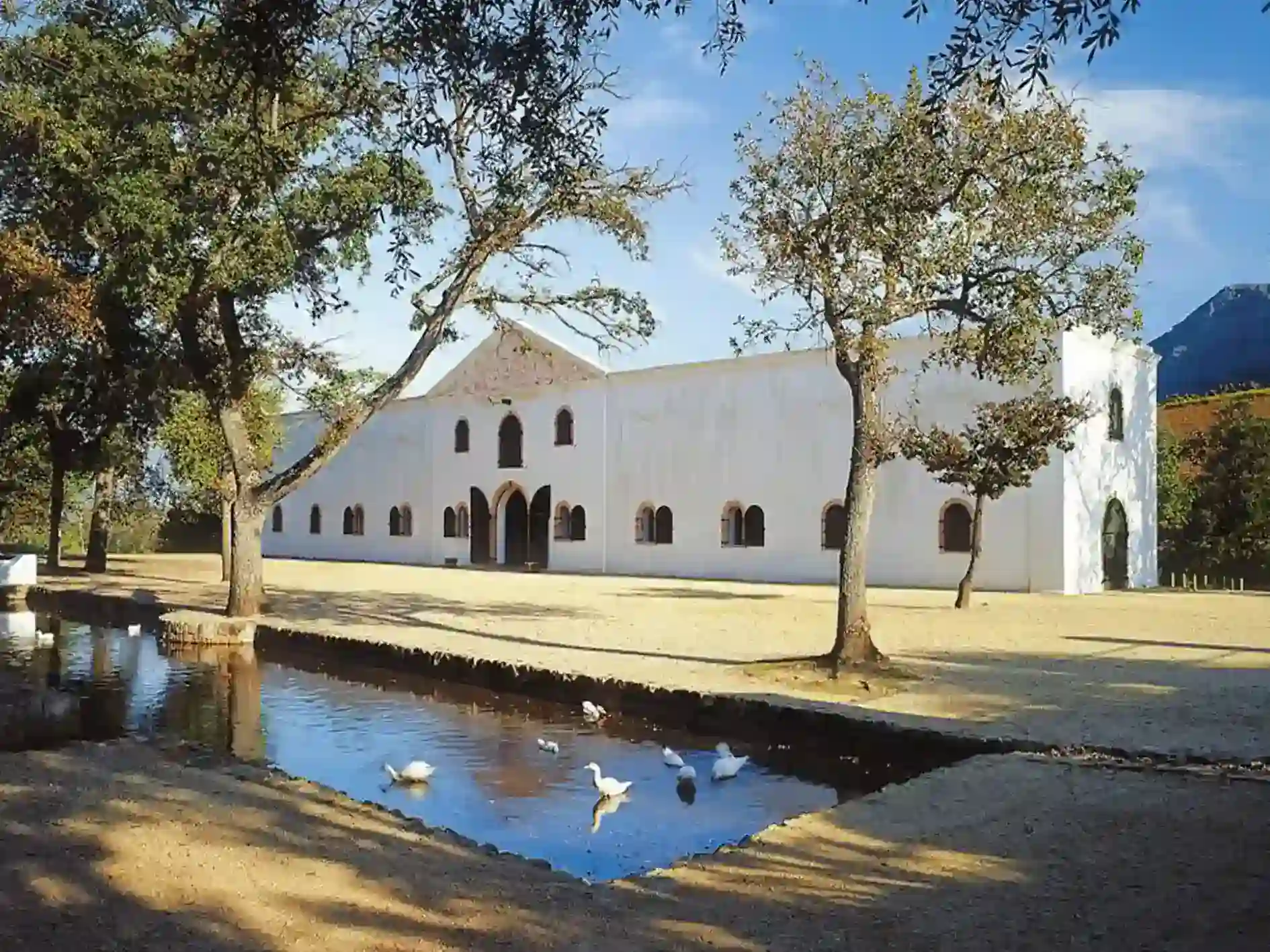 Muhtasari wa Groot Constantia