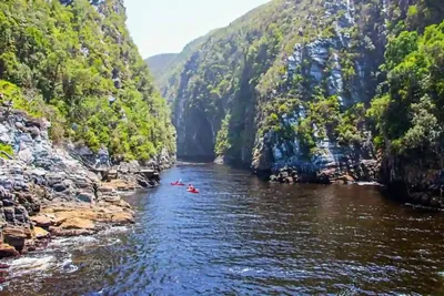 Ruta de jardín de 7 días asombrosa