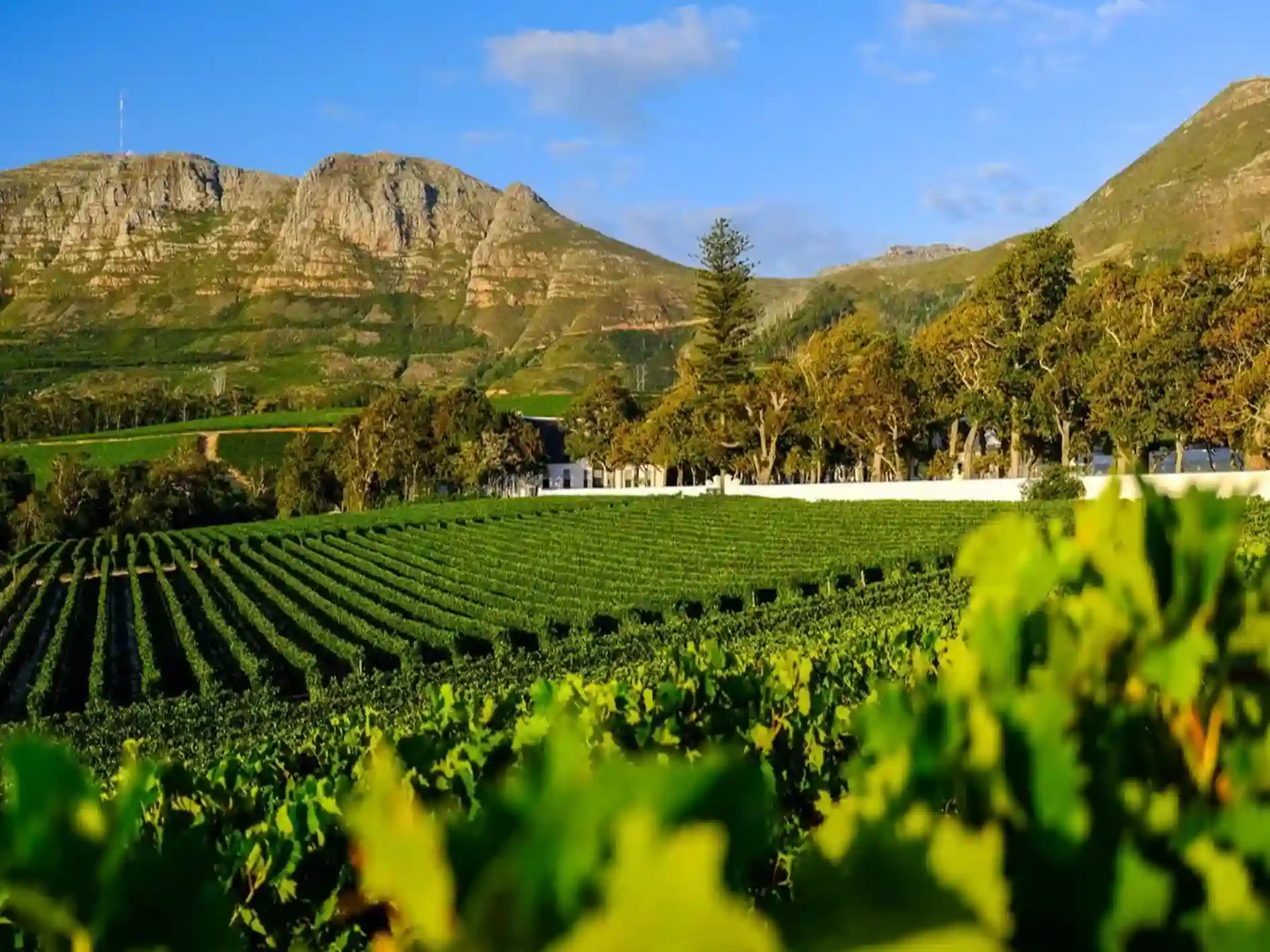 Viimeisin päivä 5: Ceres Valley & Coastal Wine Reete