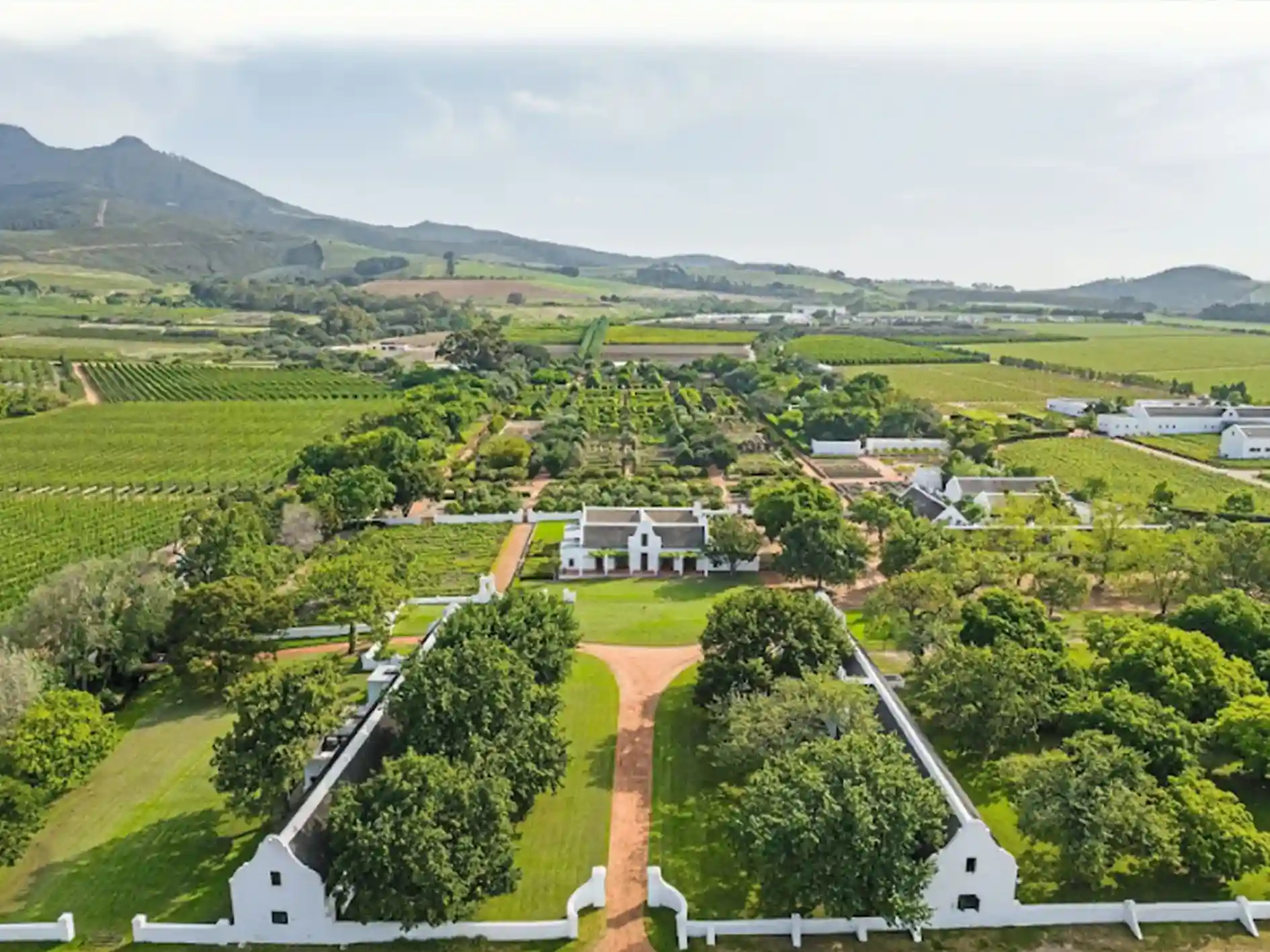 Wine Routes of the Western Cape