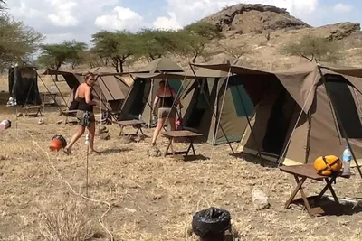 Tanzania budget safari