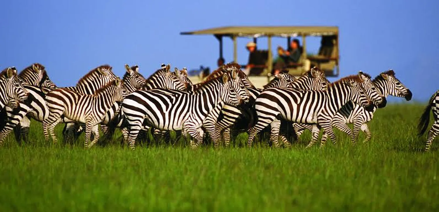 what is included in a 6-day Tanzania safari package