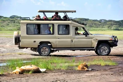 Tanzania Joining safari