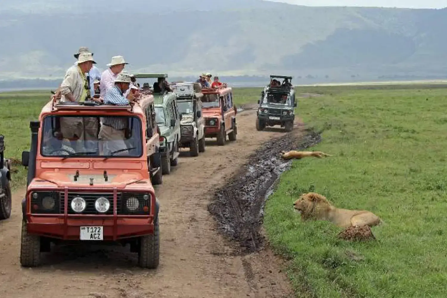 Excursió d'un dia a Ngorongoro unint-se a Safari