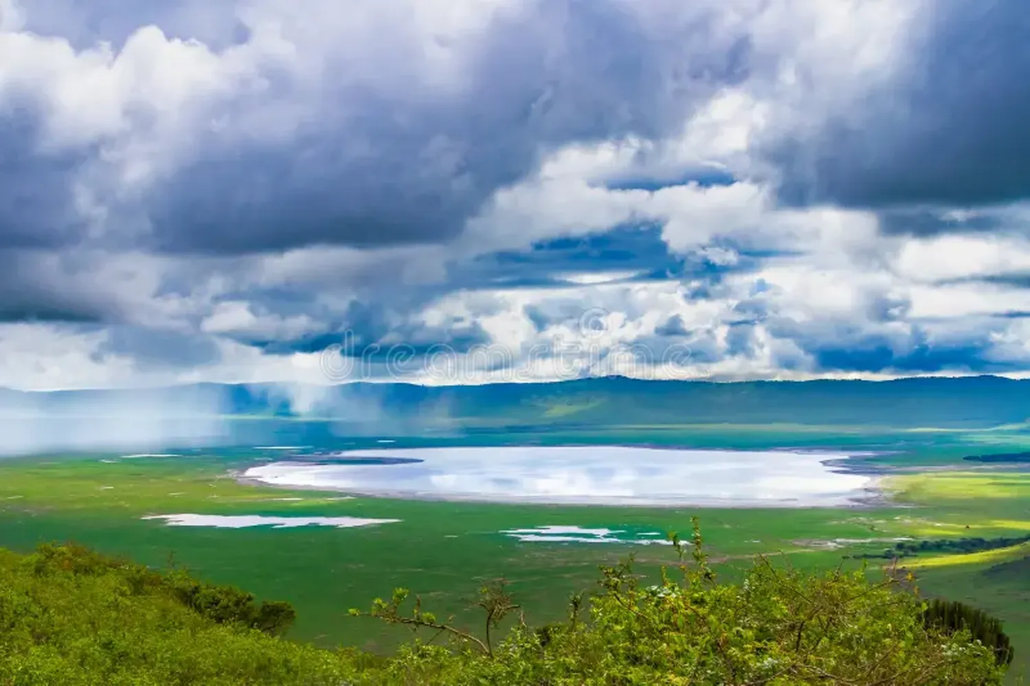 የታንዛኒያ ንጎሮንጎ እርጥብ ወቅት