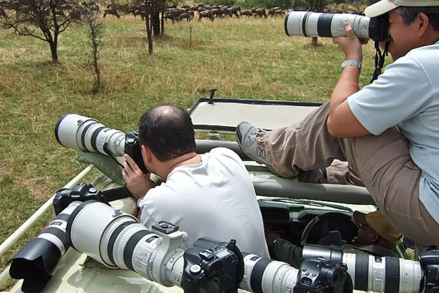Safari fotogràfic a Tanzània