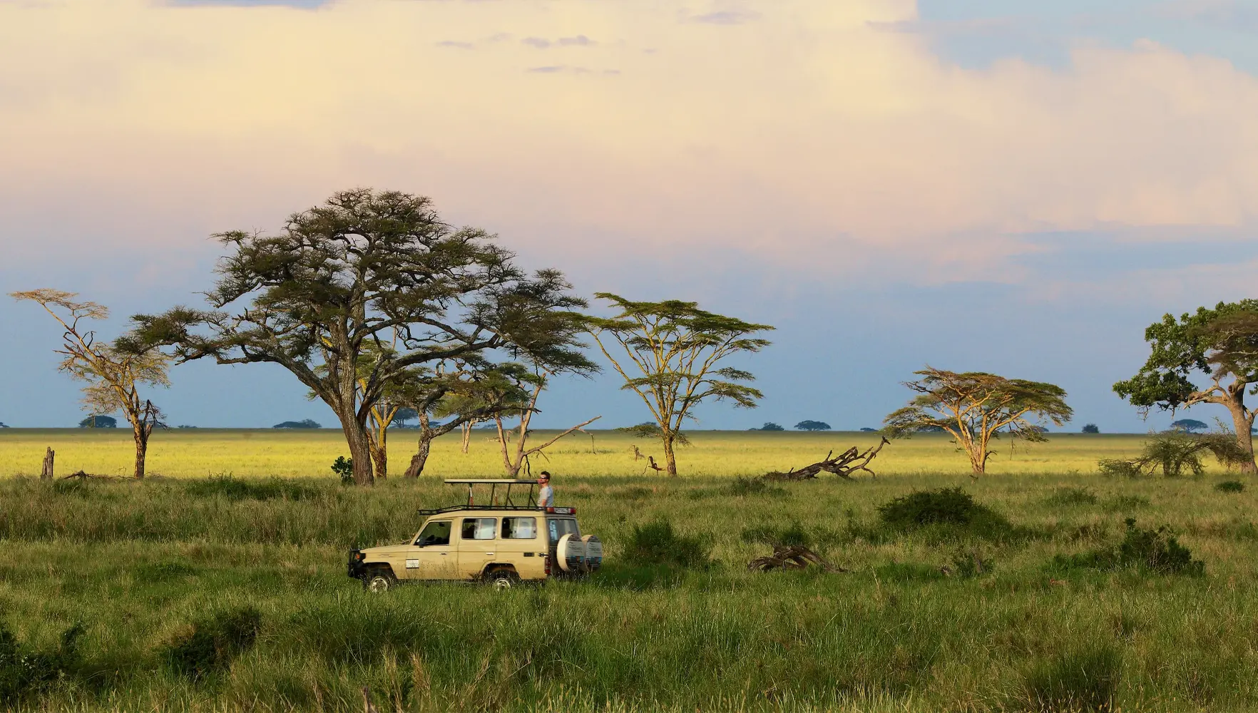 Tanzania Safari budget