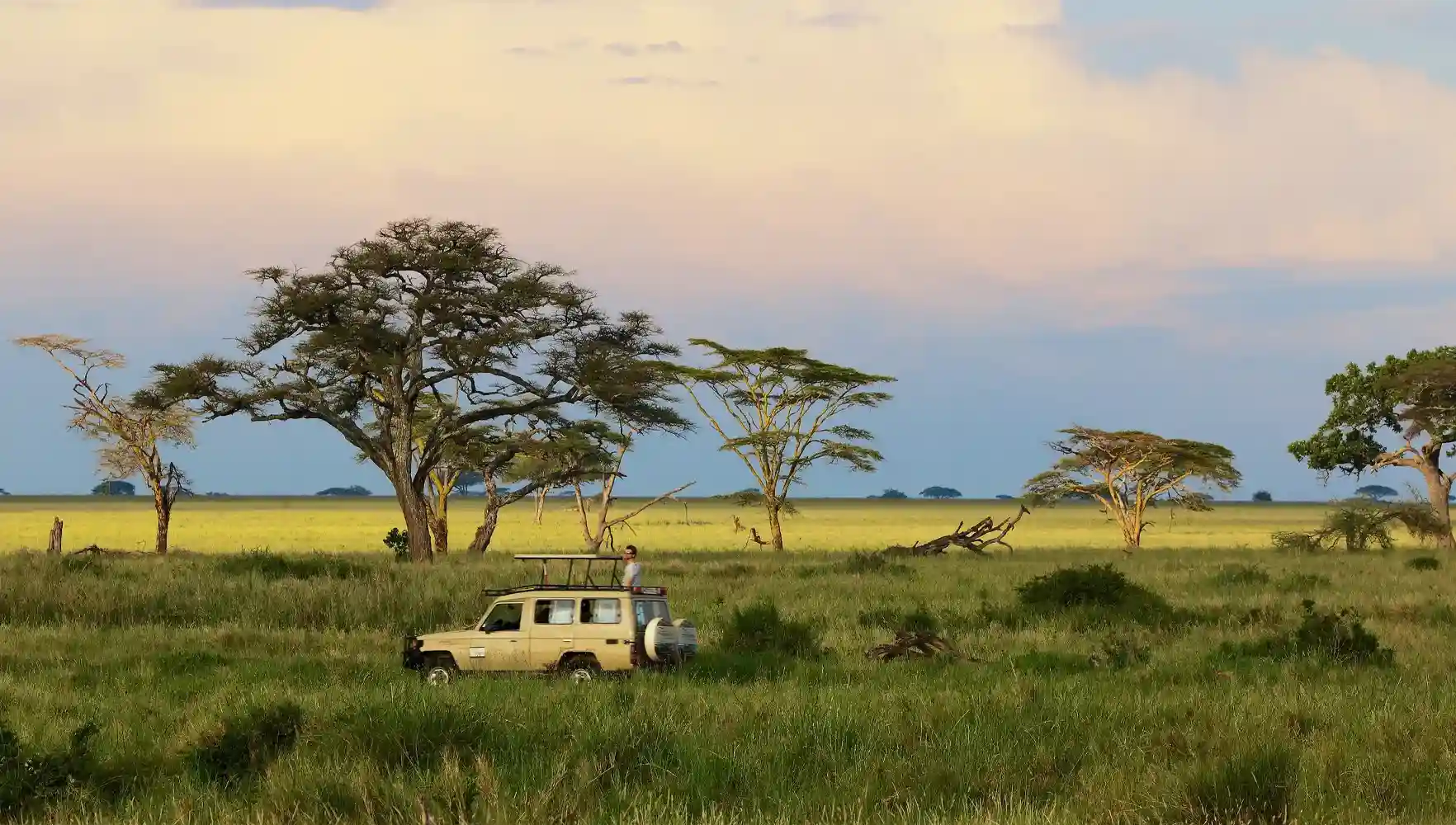 Tanzania Safari budget