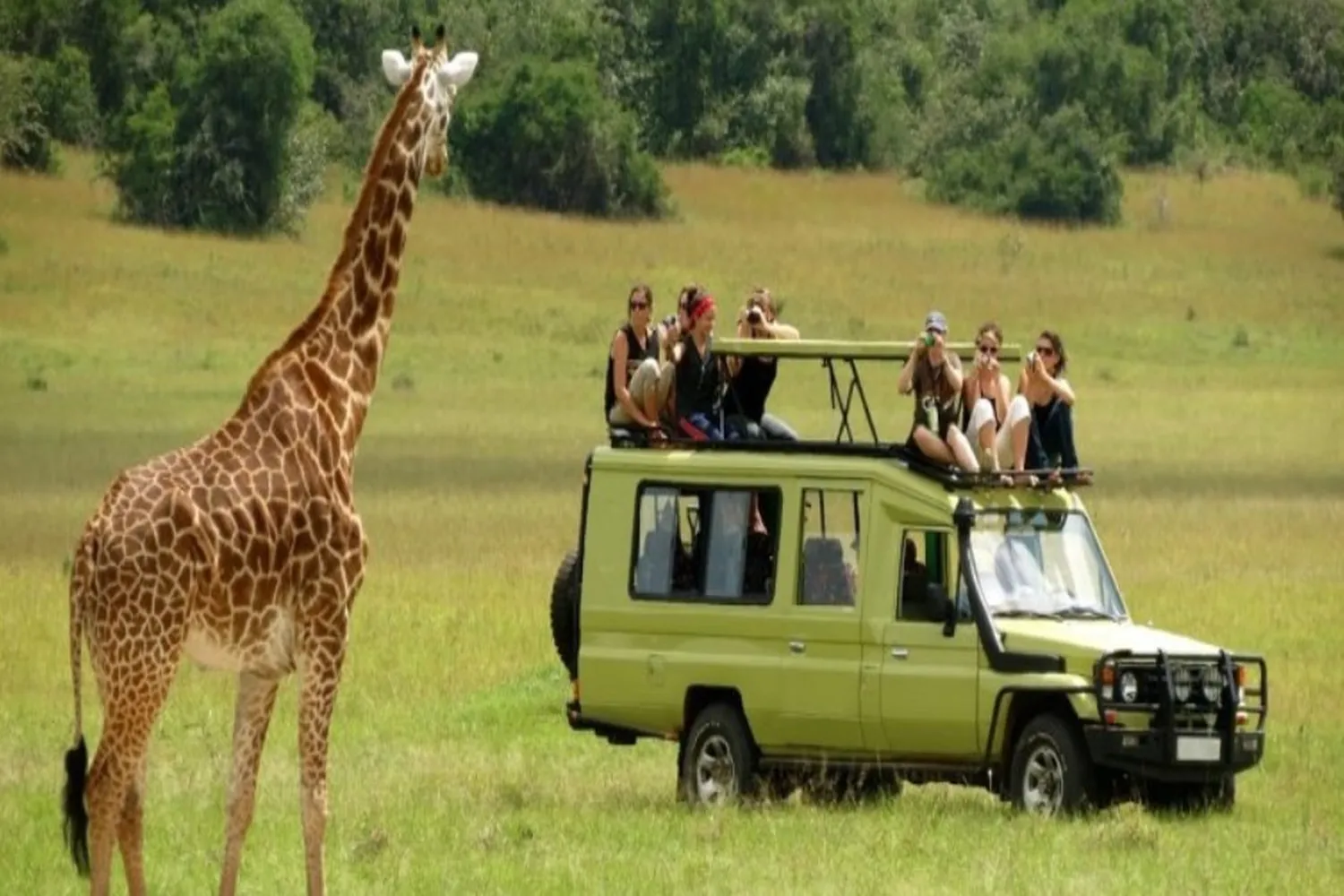 Safari-Kosten in Tansania