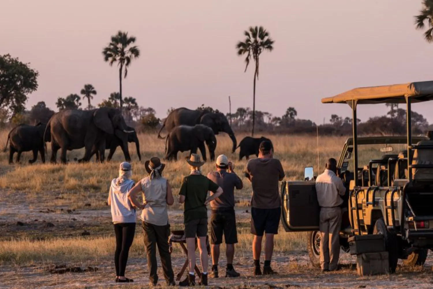 Tanzania Safari in July