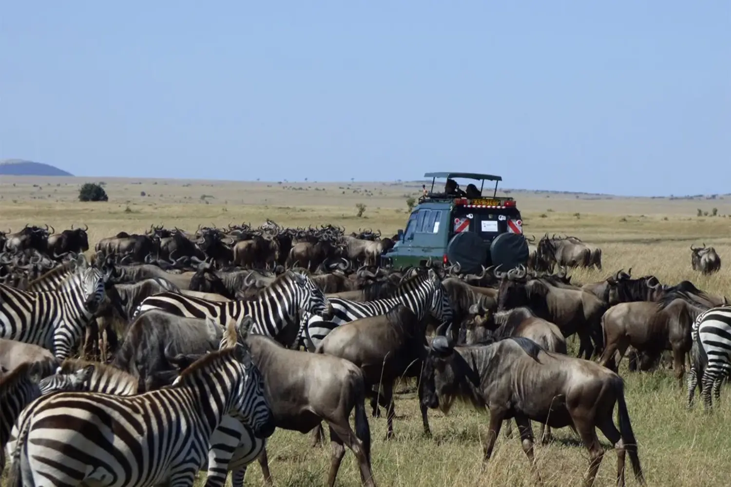 Tanzania Safari in September