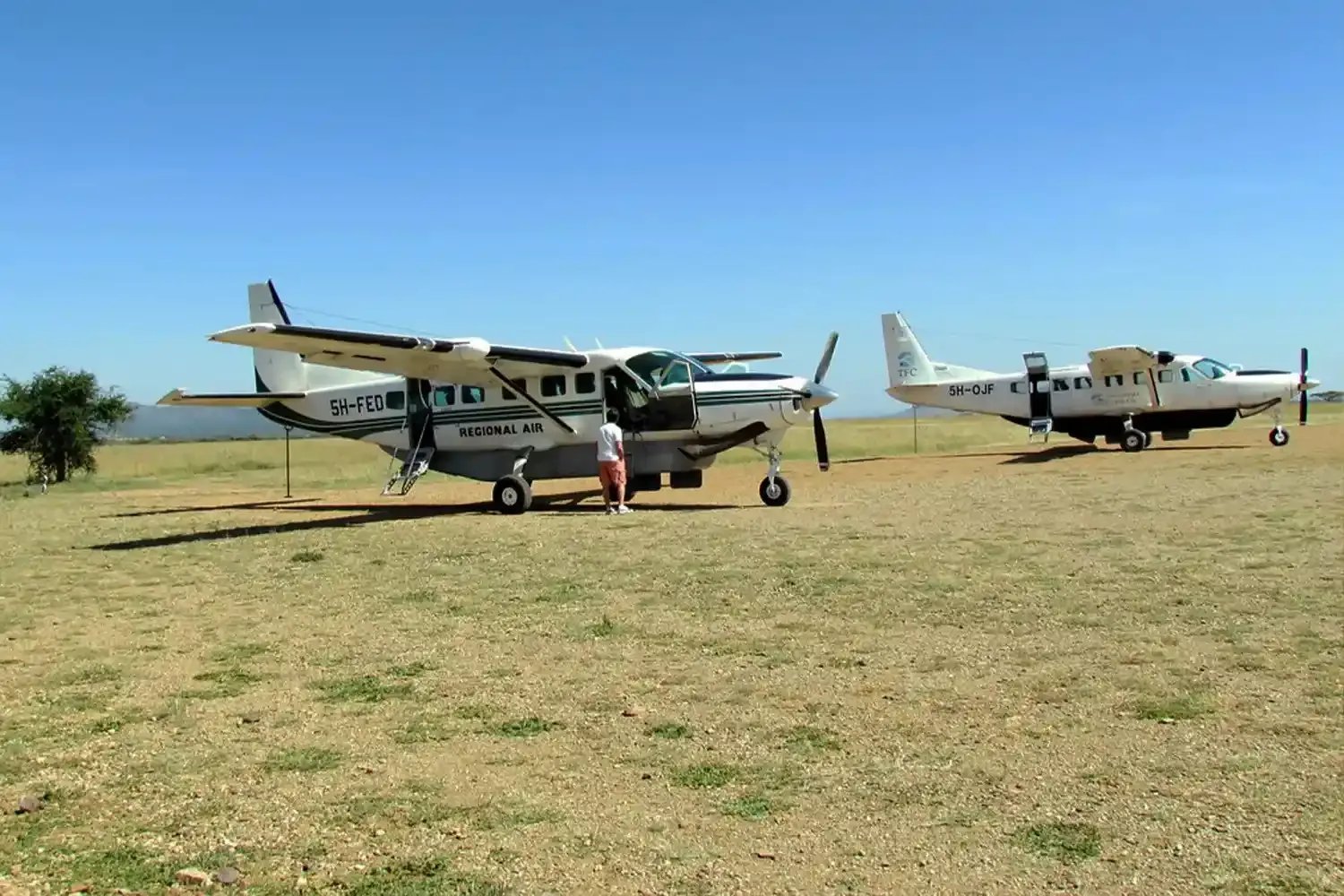 Ansania Safari-Pakete mit Flügen