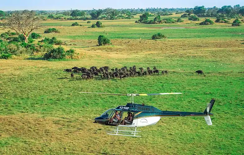 Great Migration Flight