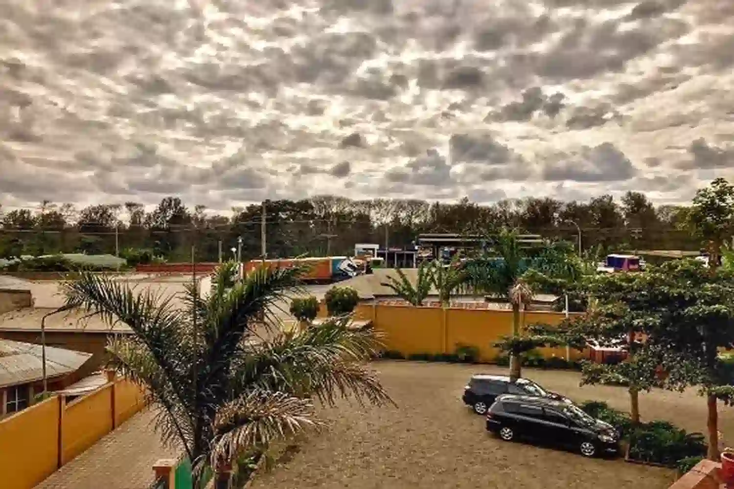 Tanzania Savannah Near Panone Hotel