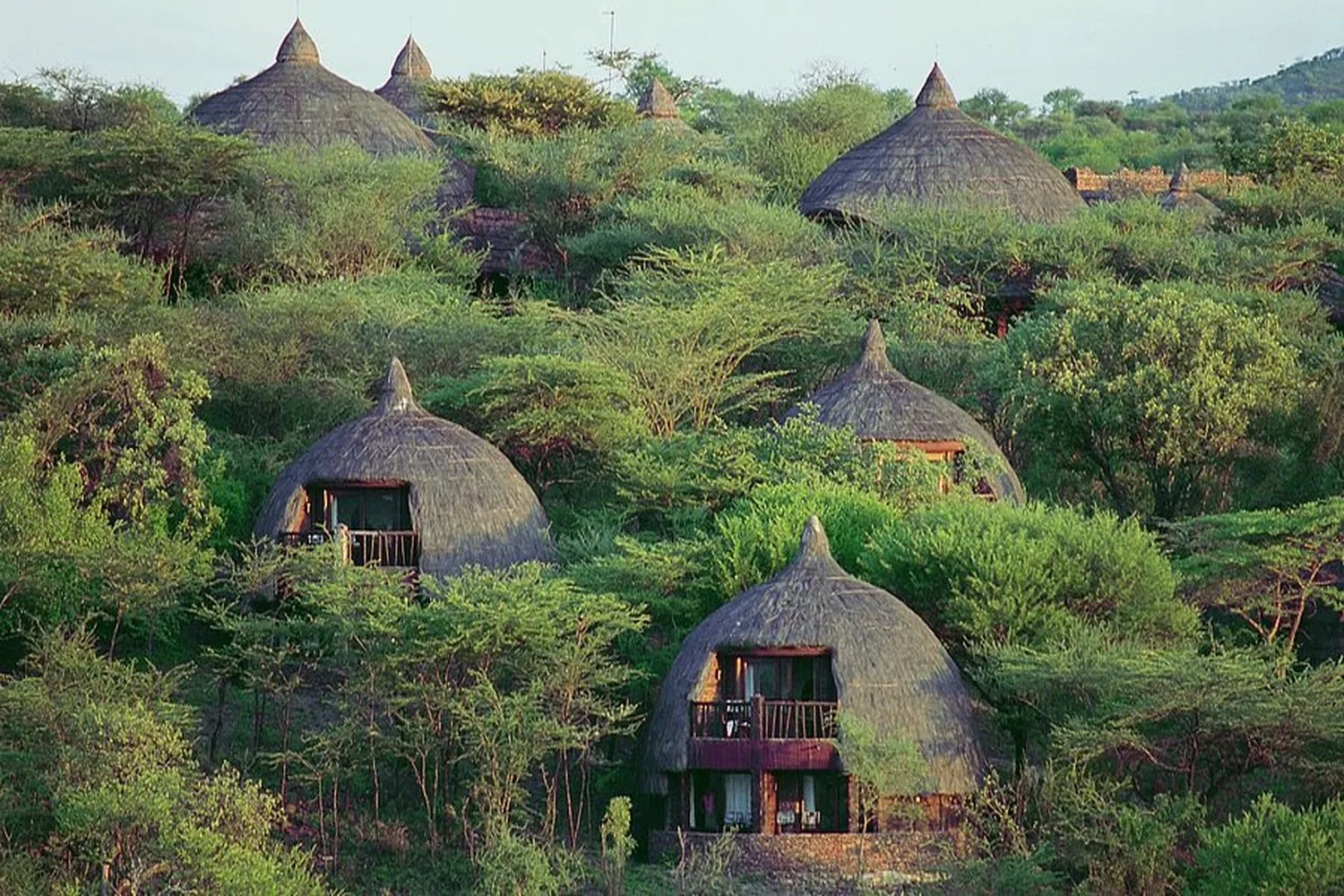 Tanzania Serena Lodge Safari
