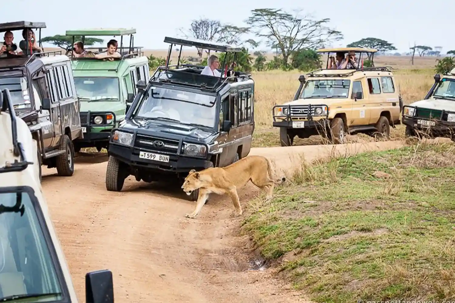 4 dies Tanzània unint-se a Safari