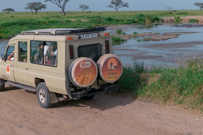 Tanzania Private Safari