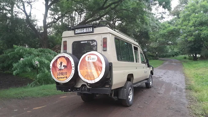 Tarangire National Park Private Safari