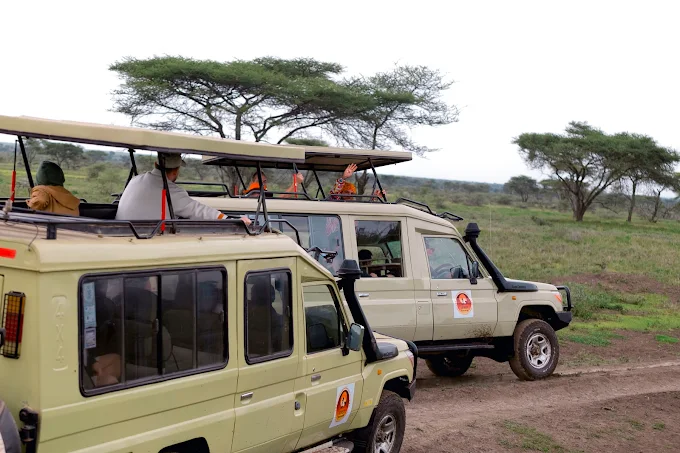 Ngorongoro Crater Private Safari