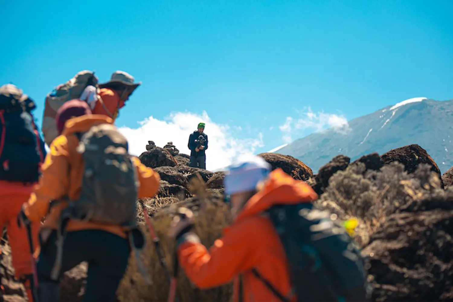 Empreses de guies de Tanzània per a l'aventura de trekking