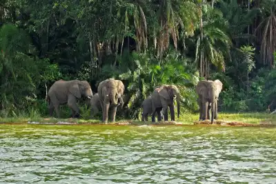 5 hari Rubondo Lake Victoria Adventure