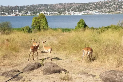2-dae Saanane-eiland en Lake Victoria Adventure