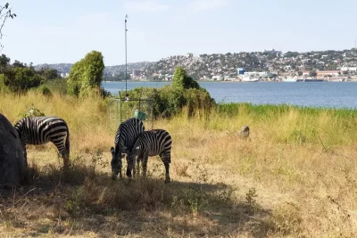 Pulau Saanane 3 hari dan pengembaraan budaya Mwanza