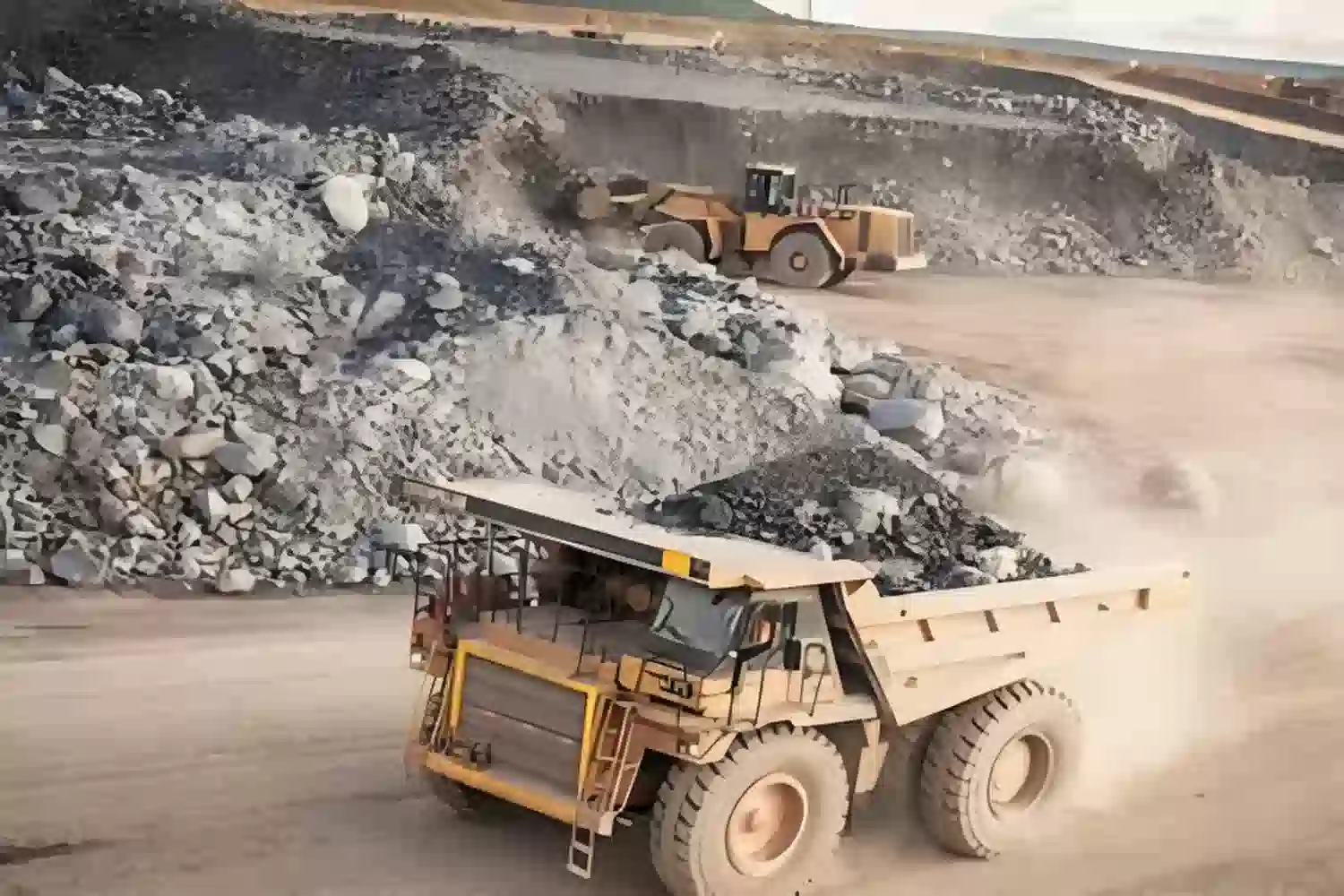 የበጀት ታንዛኒት ማዕድን ጉብኝት