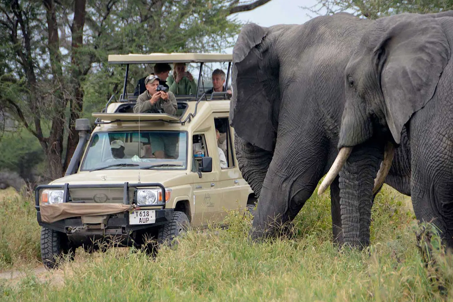 The Best Tanzania Private Safari Tour Packages