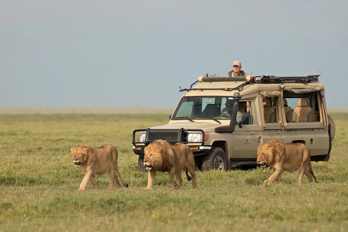 Short Safari Tanzania National Parks
