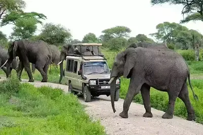 Tarangire National Park