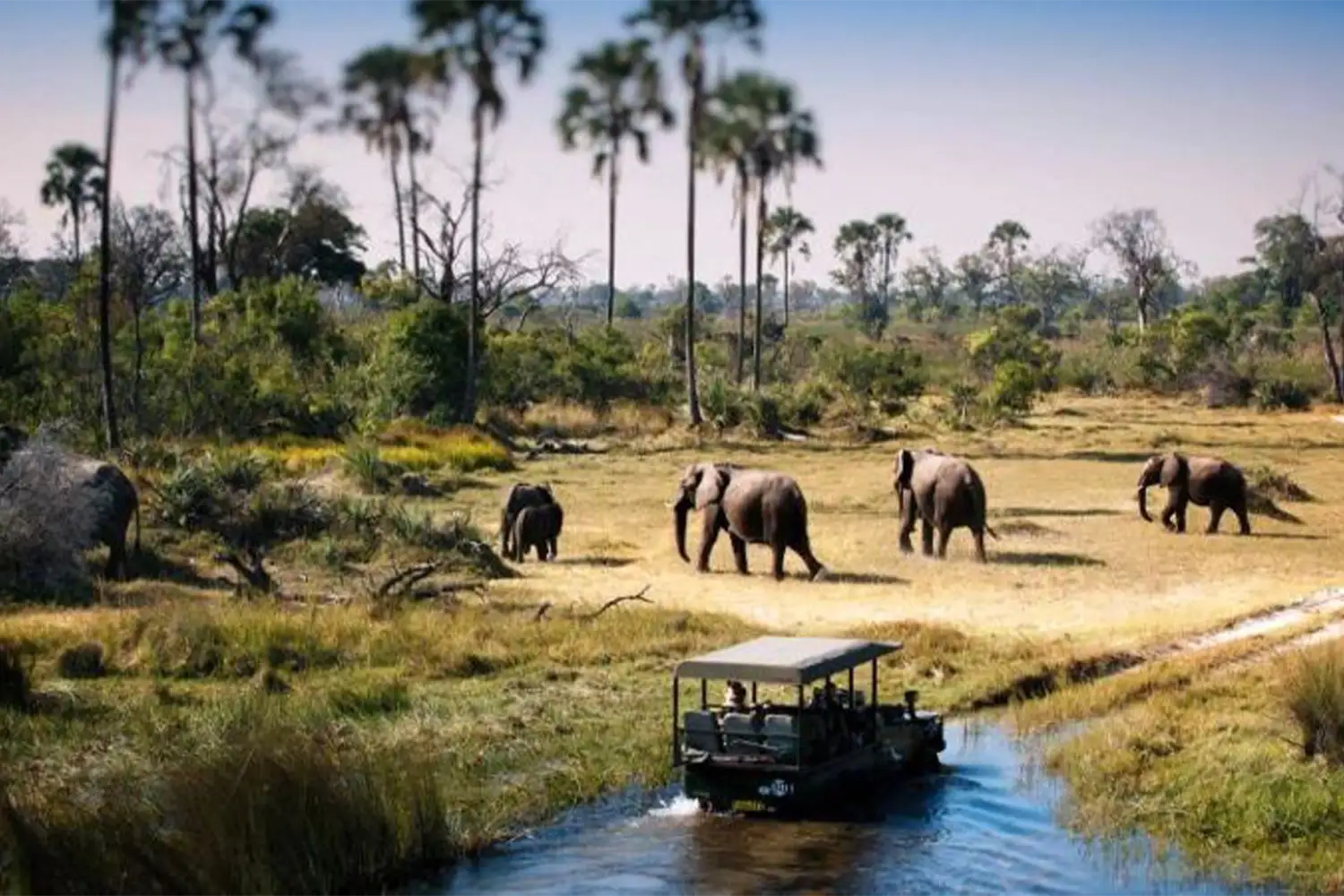 Excursió d'un dia a Tarangire Safari privat
