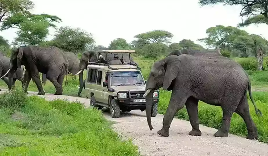 Tarangire National Park
