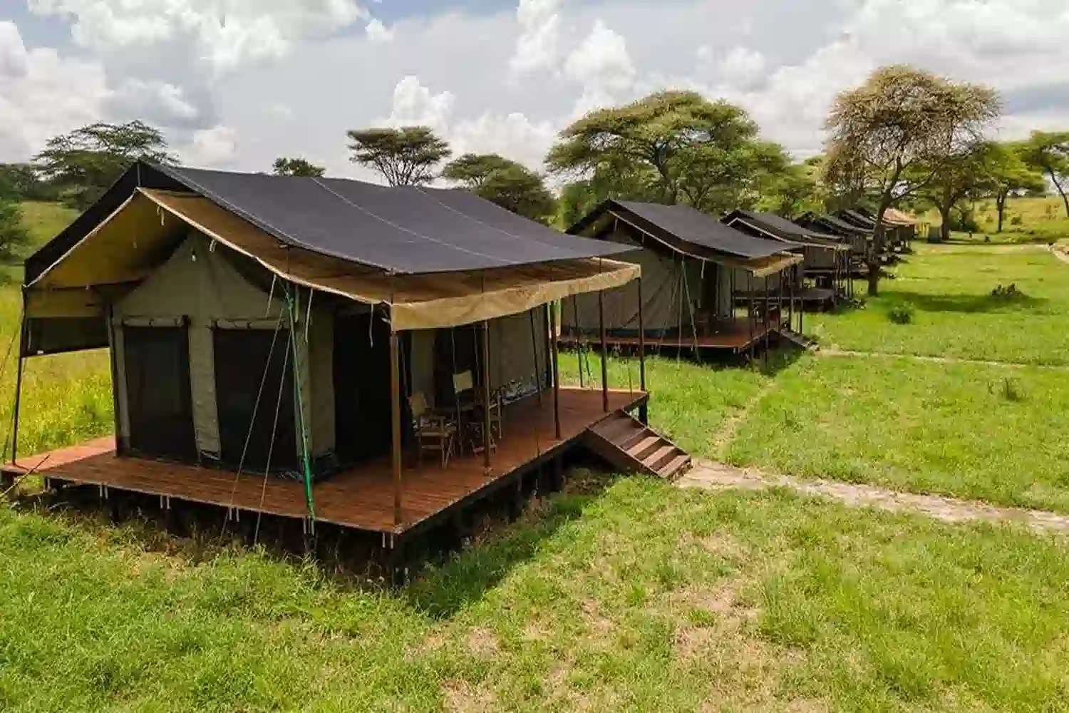 Tented Camps vs Lodges Serengeti