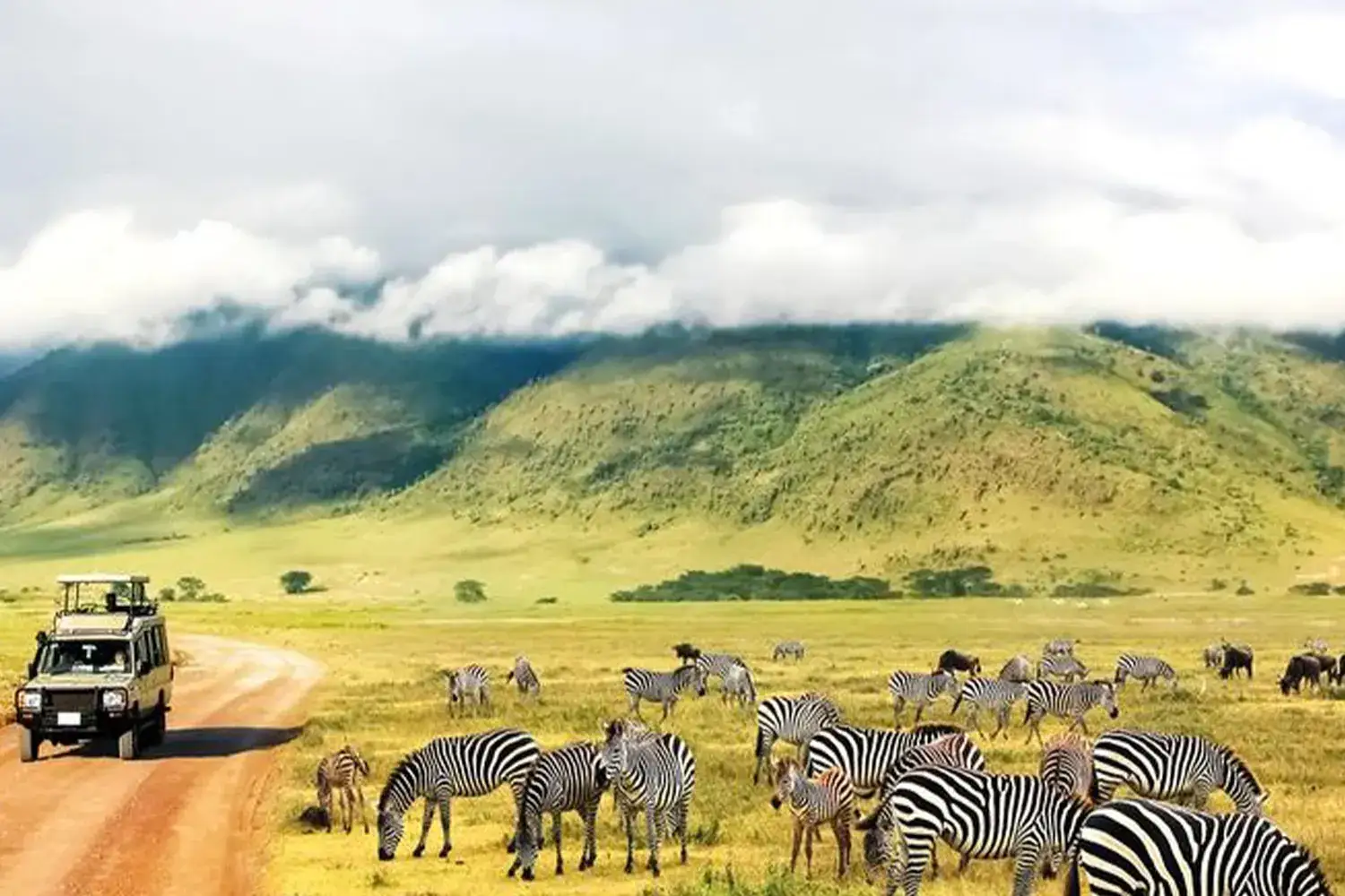 Safari de 7 dies al Serengeti, Tanzània