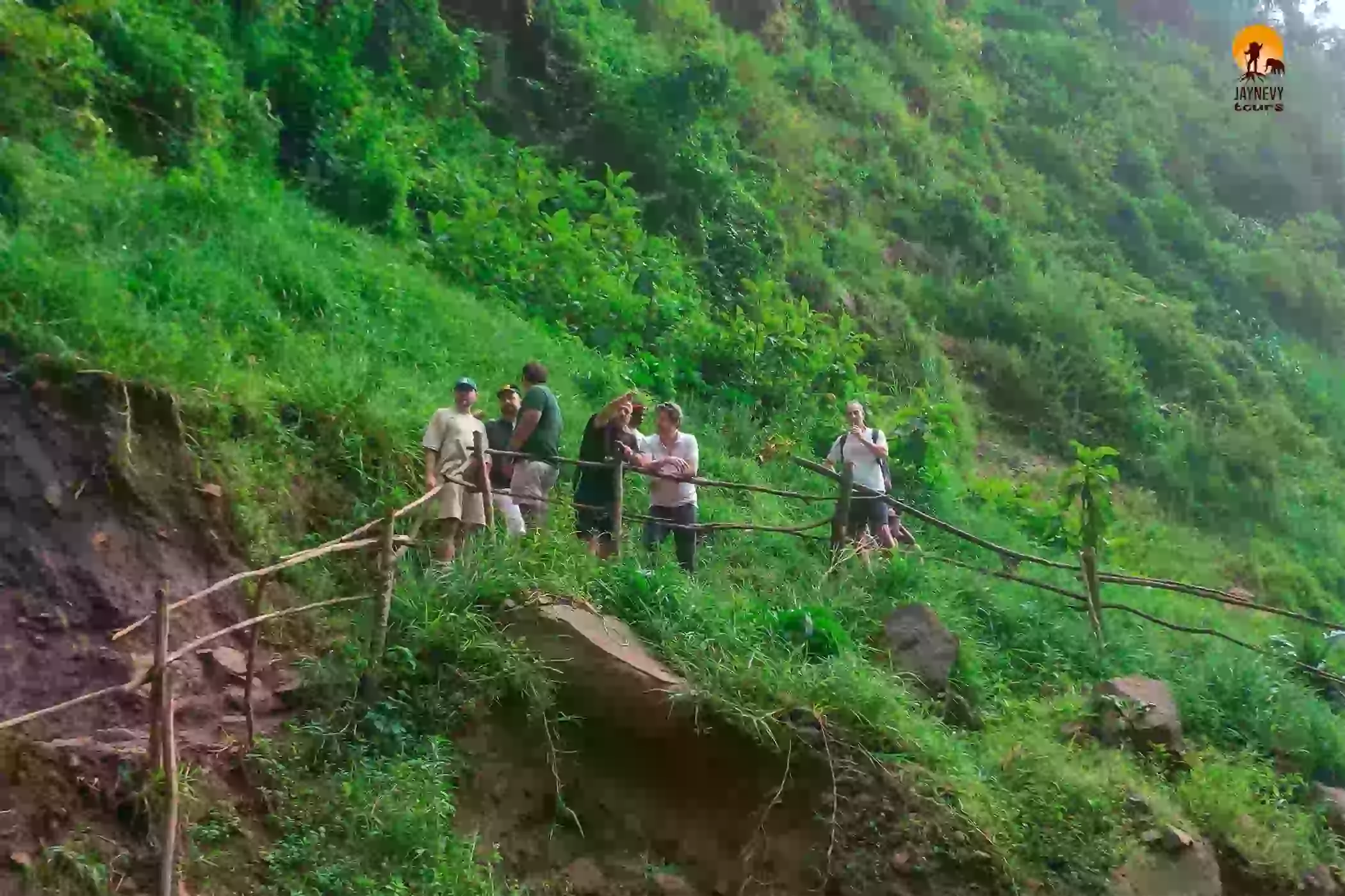 Materuni Waterfall and coffee tour experience